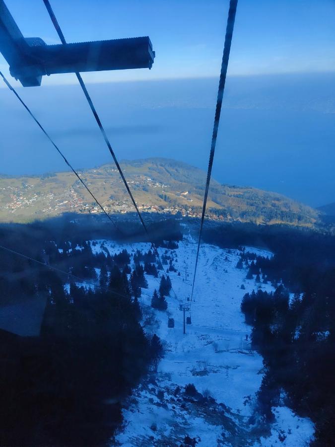 Chalet Recent Coeur Station Thollon-les-Memises 外观 照片